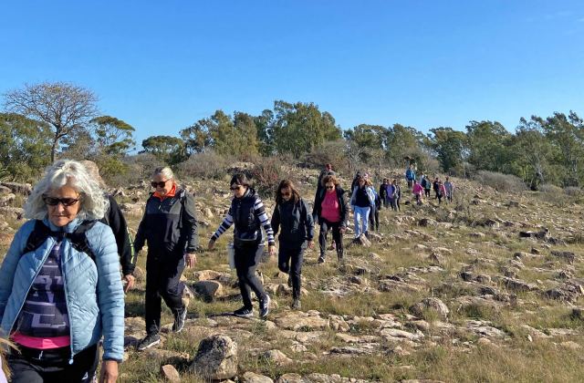 Nueva caminata guiada y avistaje de aves en Sierras Bayas