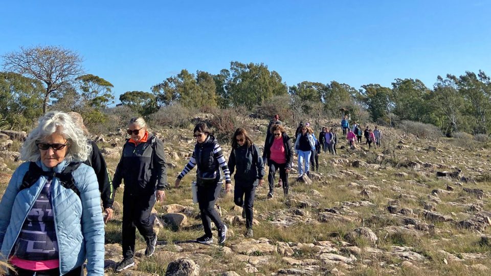 Nueva caminata guiada y avistaje de aves en Sierras Bayas