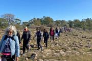 Nueva caminata guiada y avistaje de aves en Sierras Bayas