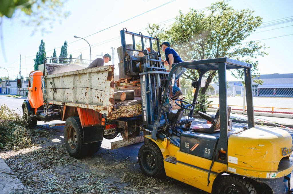 Dará inicio el Cronograma de Recolección de Poda Vecinal