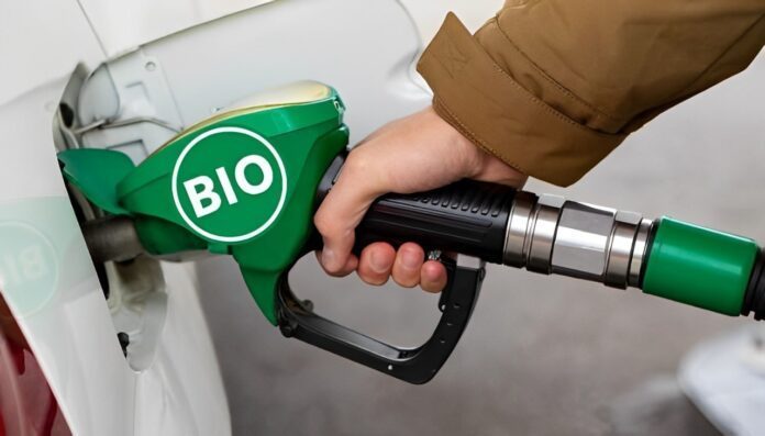 Vuelven a aumentar los biocombustibles y se espera que la suba se refleje en los surtidores
