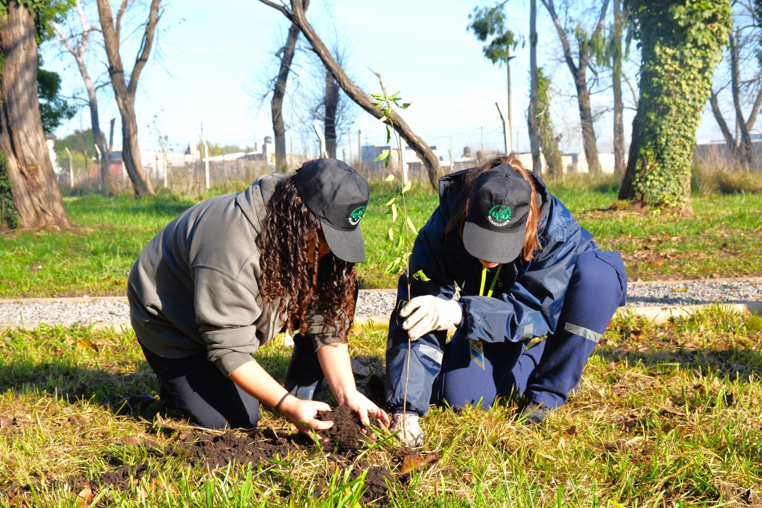Se desarrolló una jornada de plantación de árboles nativos en el Polo Educativo y Recreativo “La Máxima”