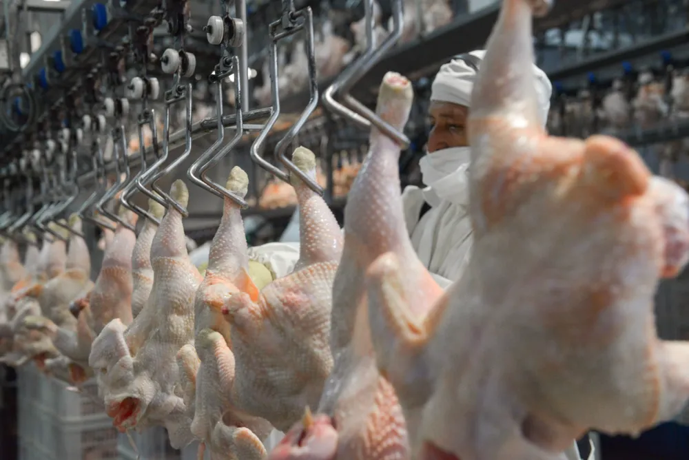 El Gobierno aclaró que el esquema de retenciones cero continúa para la exportación de carnes