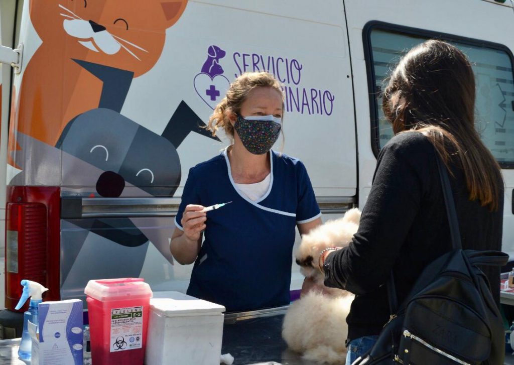 Continúa con la Campaña Anual de Vacunación Antirrábica