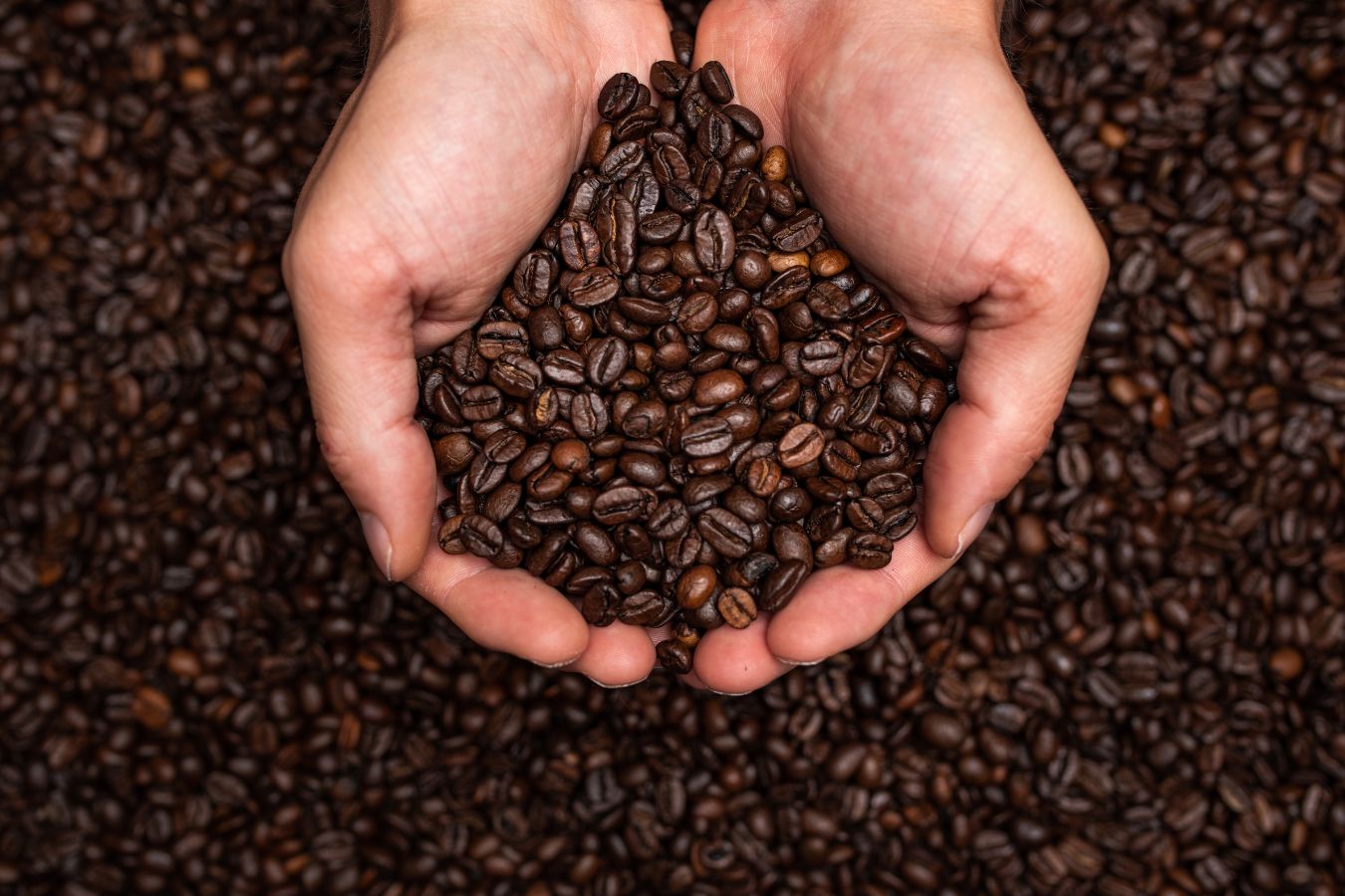 ANMAT retiró del mercado siete tipos de café de diversas marcas por irregularidades