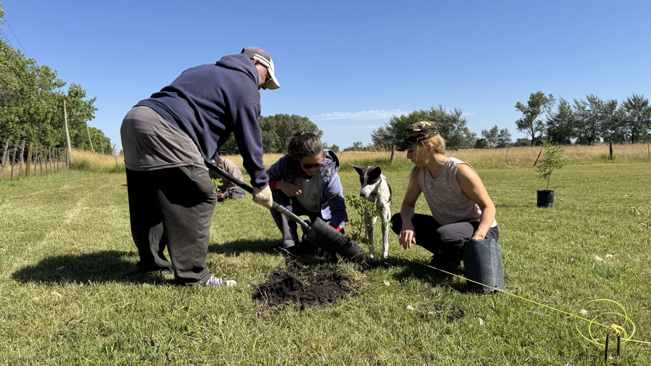 Se plantaron 20 especies nativas en el Parque Municipal "La Isla"