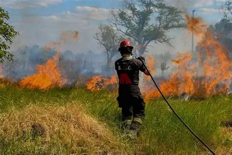 CARBAP reclamó ayuda para los productores damnificados por los incendios