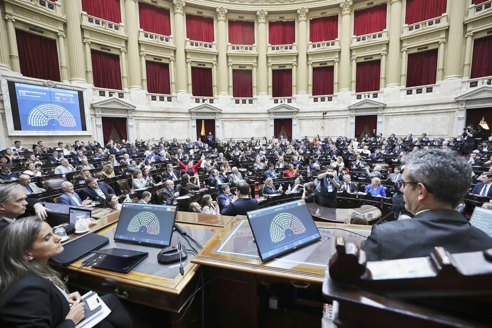 Diputados: El Gobierno retiró el Proyecto de Reforma Penal Juvenil