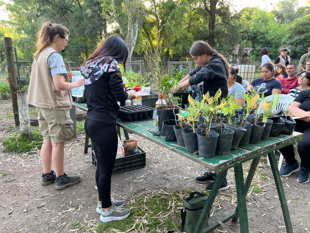 Retomarán su actividad los Talleres de Huerta y el Programa Municipal de Entrega de Semillas