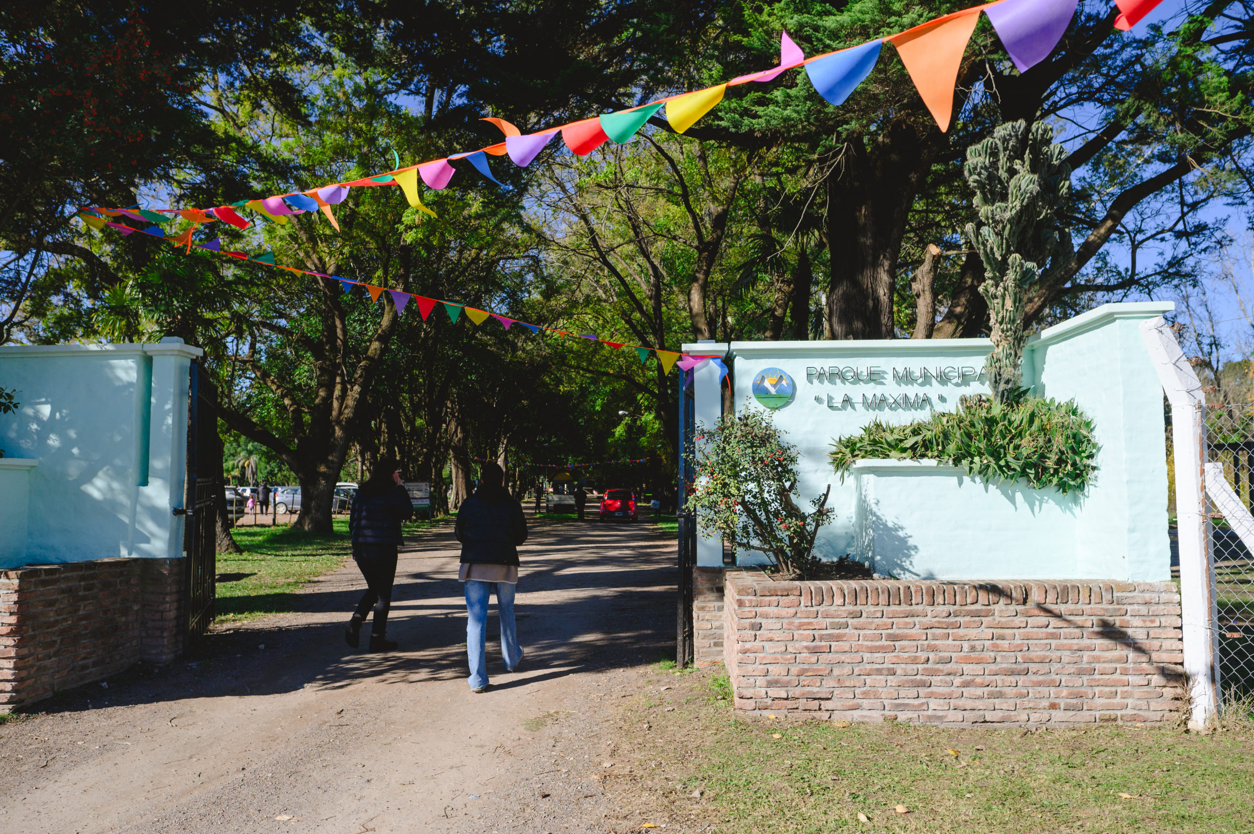 Se encuentra abierta la inscripción para participar de “Memoria Verde”