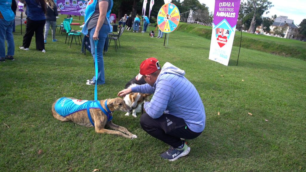 Se llevará adelante una nueva jornada de adopción y cuidado responsable de animales de compañía