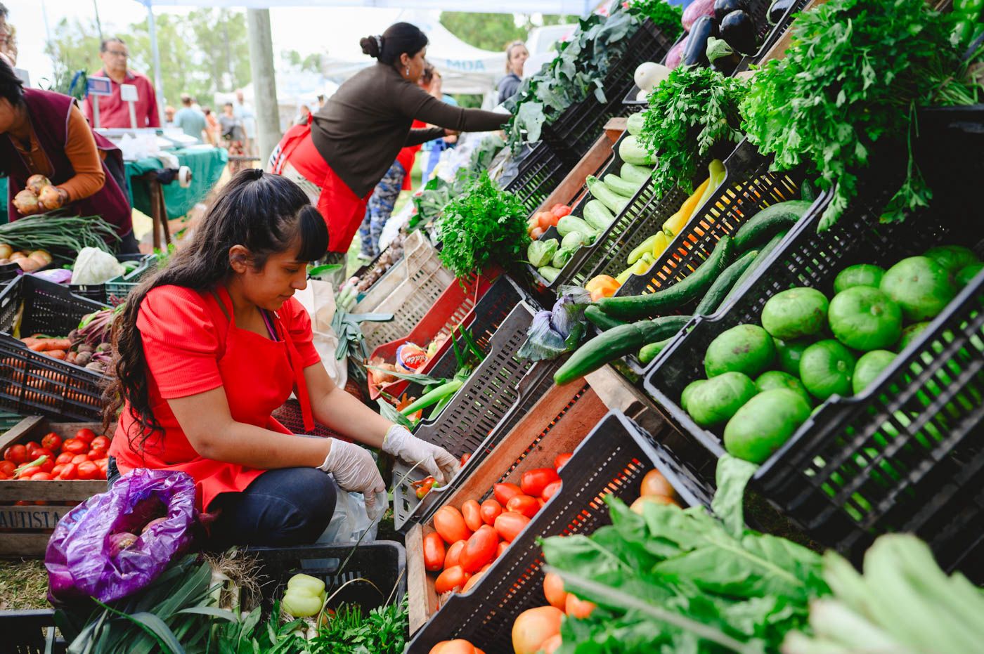 Se llevará adelante una nueva edición de “Mercados Bonaerenses”
