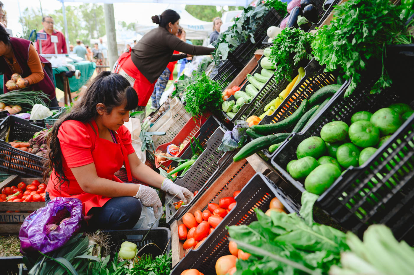 Se desarrollará una nueva edición de “Mercados Bonaerenses”