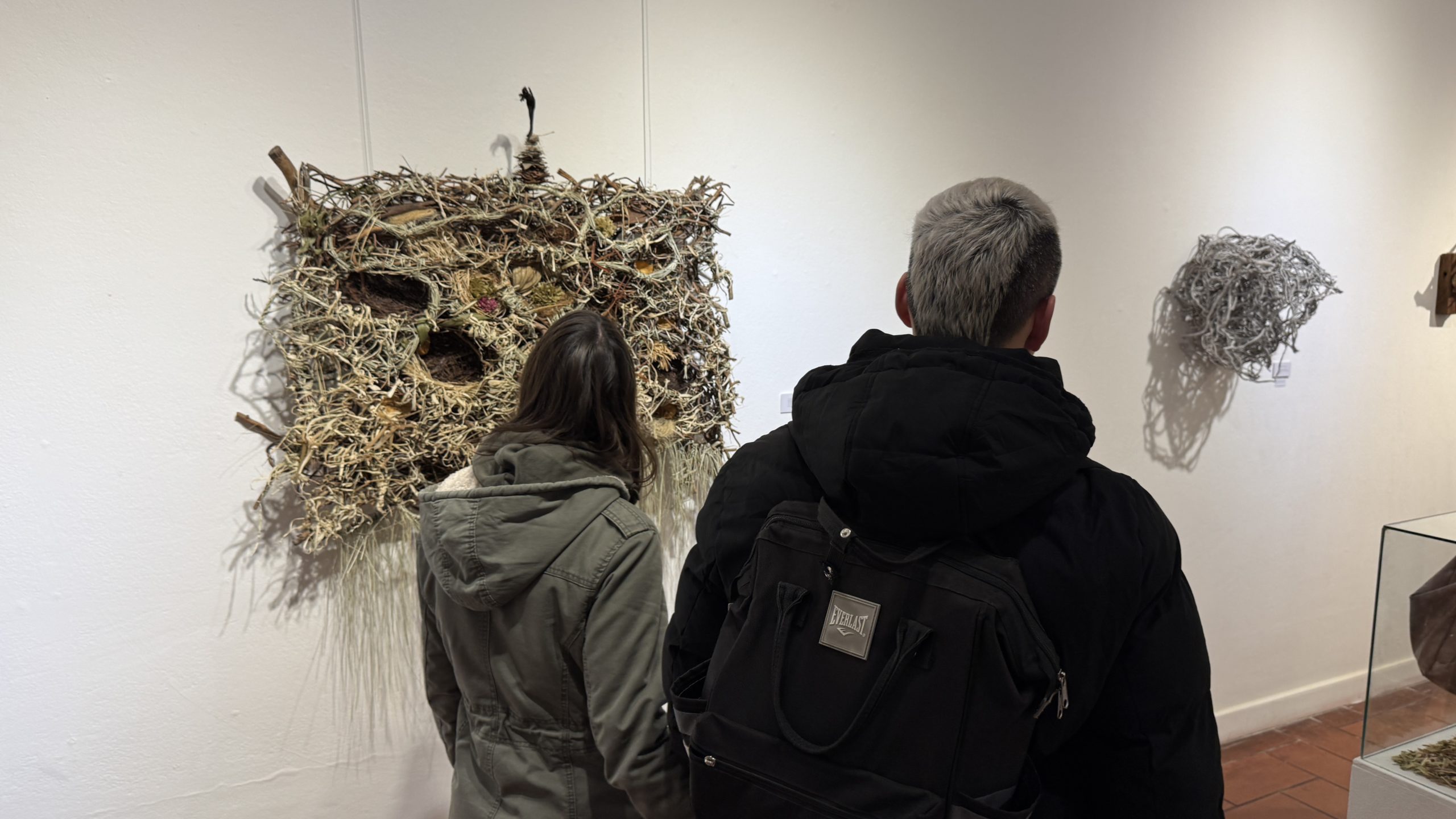 El Museo Dámaso Arce exhibe “Lo que se nos escapa” de la artista Elisabeth Delménico