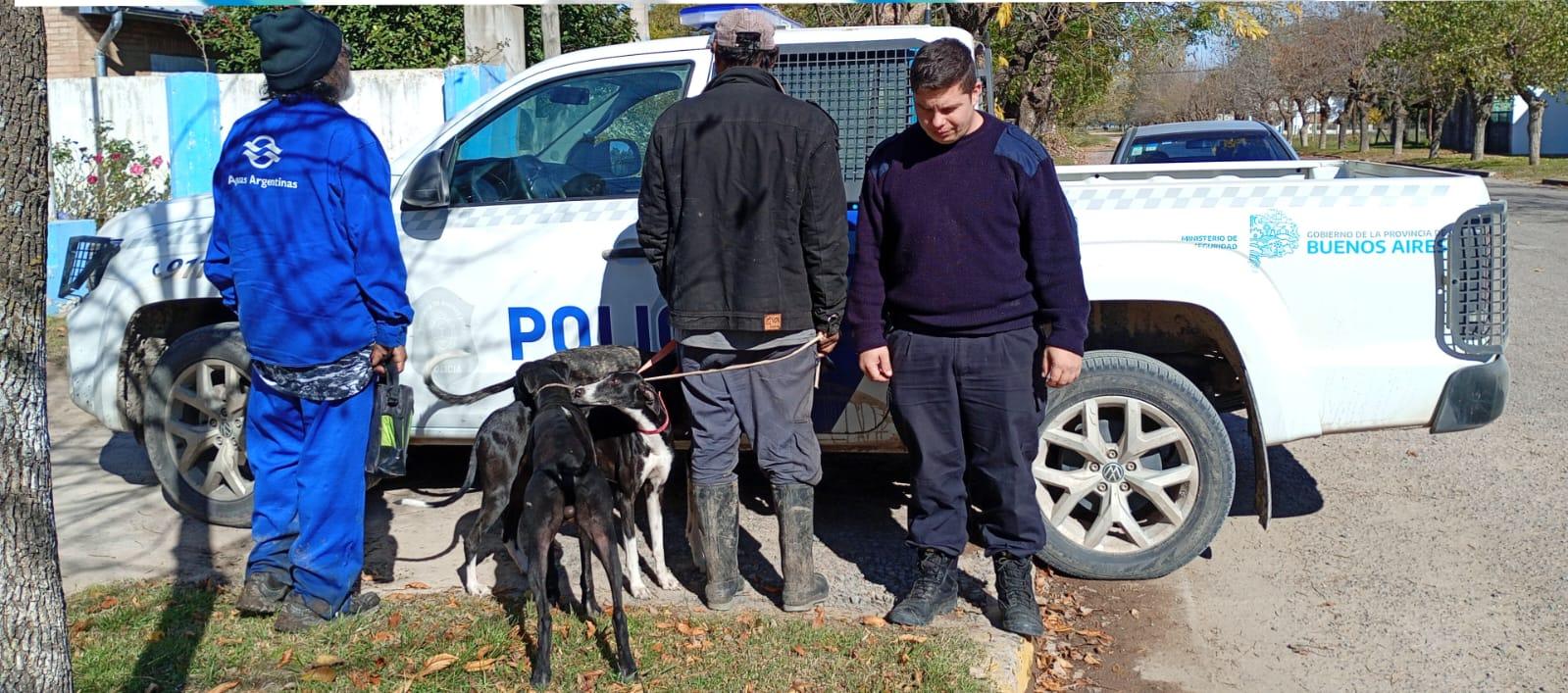 Dos hombres fueron infraccionados por caza ilegal en un establecimiento rural